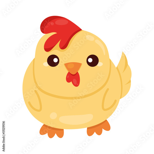 cute chick farm animal