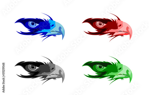 eagle eye collections in graphic design vector