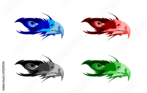 eagle eye colections in graphic design jpg photo
