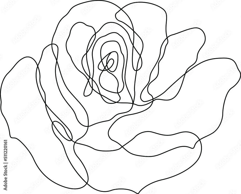 Rose flower outline vector. Set of hand drawn sketches. Line Ink drawing. Eps 10 Rose flower outline vector. Set of hand drawn sketches. Line Ink drawing. Eps 10