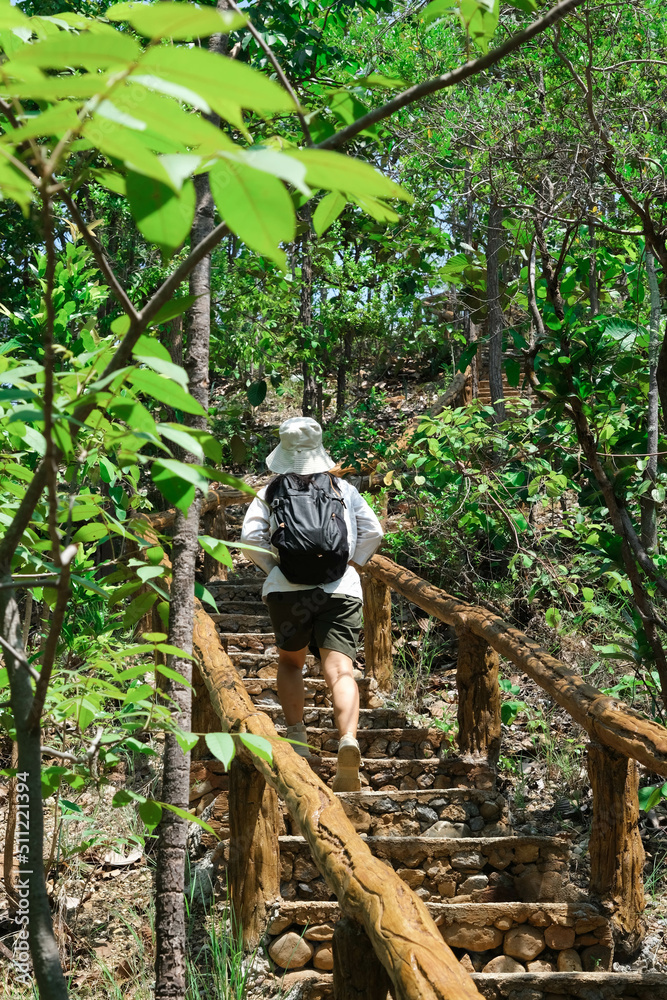Rear view of young woman in a hat with a backpack walks up the natural stone steps and enjoys nature in the tropical forest. Travel and lifestyle concept Rear view of young woman in a hat with a backpack walks up the natural stone steps and enjoys nature in the tropical forest. Travel and lifestyle concept