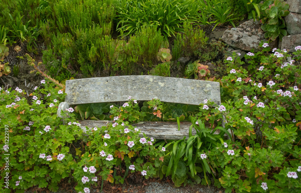 Im Abbey Gardens auf der Insel Tresco vor Cornwall Im Abbey Gardens auf der Insel Tresco vor Cornwall