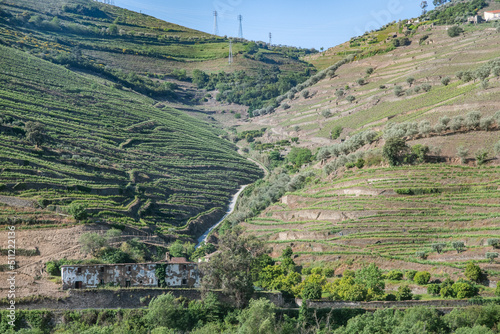 Weinbau im Douro-Tal