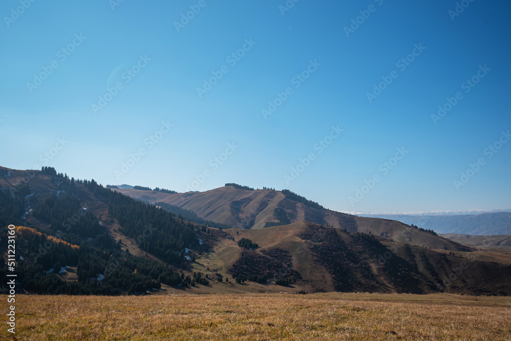 Autumn landscape with bright yellow grass on the slope of the mountains. Mountain peaks covered with snow in the distance. Wonderful scenic background. Color in nature.