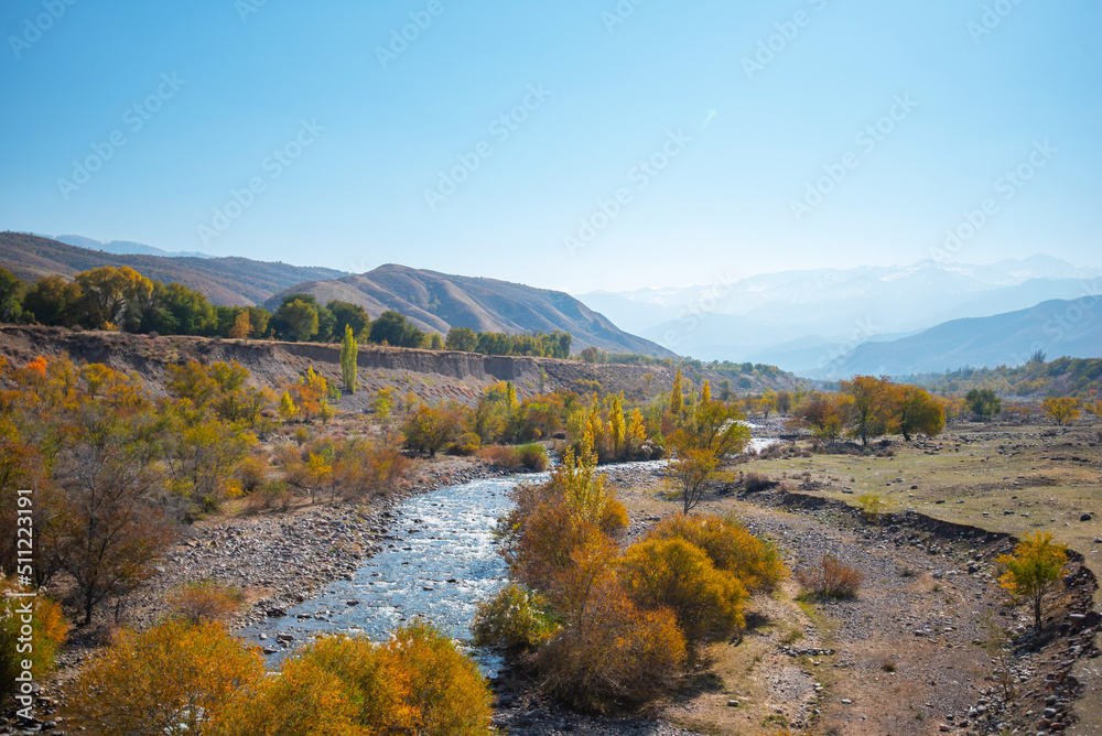Amazing landscape of a mountain valley with a small river with a turbulent stream and colorful autumn trees. Beautiful autumn nature in the foothills  Snow-capped peaks in the distance. Pamir, Asia.