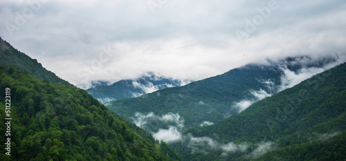 Selective focus. Spring morning at mountains and clouds. Atmospheric landscape with trees and low clouds on cloudy sky. Awesome mountain scenery. © eskstock