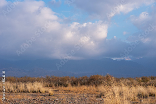 Selective focus. A beautiful autumn landscape of arid desert area with tall  sun-scorched grass and bushes against the backdrop of a mountain range. Dramatic sky  clouds hanging over the mountains.