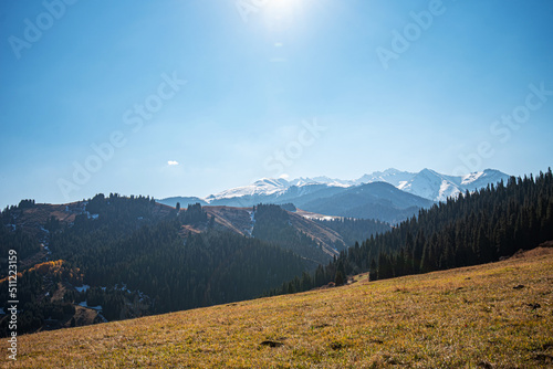Autumn landscape with bright yellow grass and green fir trees on the slope of the mountains. Mountain peaks covered with snow in the distance. Wonderful scenic background. Color in nature. © eskstock