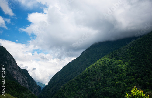 Spring morning at mountains and clouds. Atmospheric landscape with trees and low clouds on cloudy sky. Awesome mountain scenery.