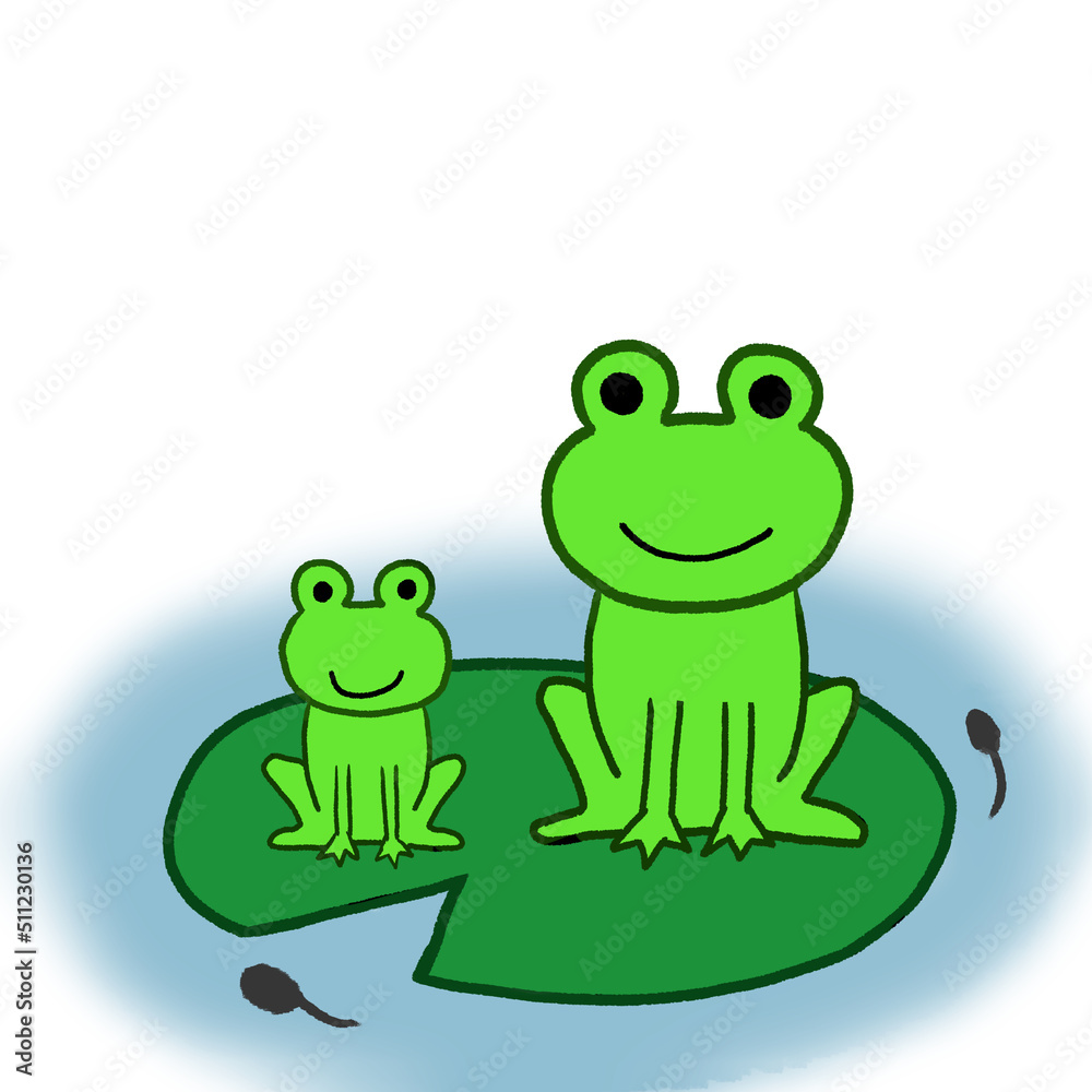 カエル カエル