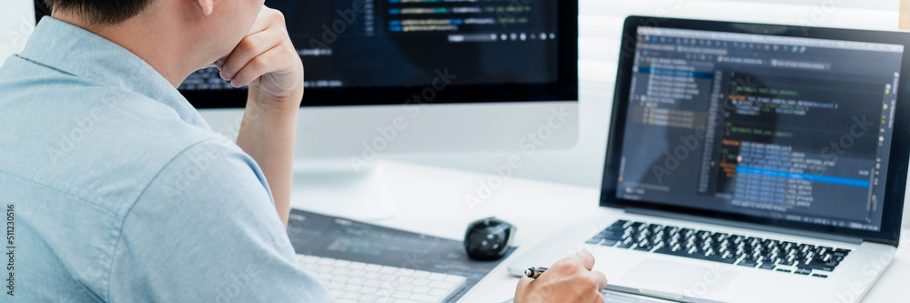 Developing programmer Development Website design and coding technologies working in software company office
