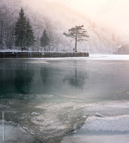 Man and his dogs enjoying at frozen lake © gljivec