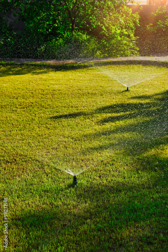 Automatic Garden Sprinkler. Backyard Watering Technology for green lawn