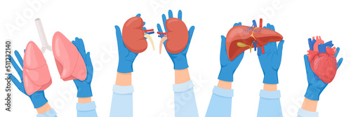 Human Organs Transplantations Set