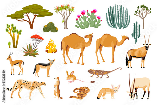 Desert Flora And Fauna Cartoon Set