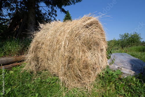A haystack lies on an overpass against the backdrop of a vegetable garden and a blue sky on field .jpg