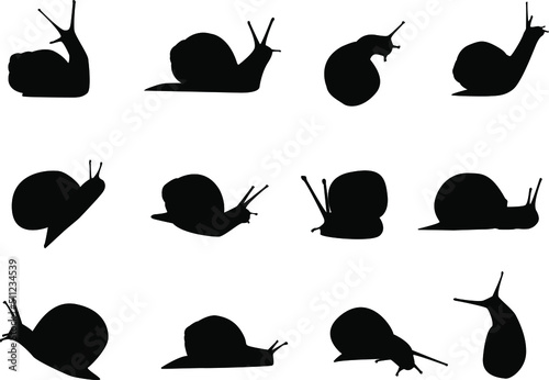 Vector snail silhouettes on isolated white background. Icon set