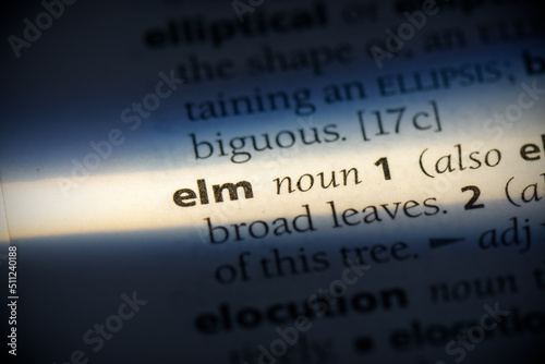 elm photo