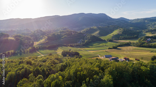 Vineyard in Slovenia as seen from above photo