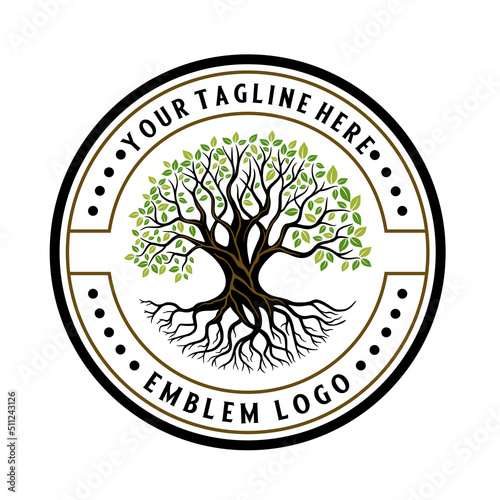 Vector banyan emblem oak tree logo design.