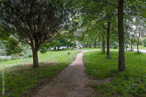 There is a path along the trees in the city park