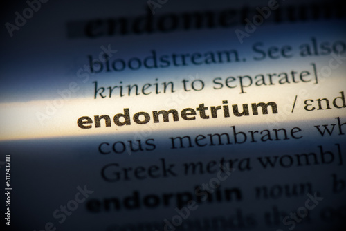 endometrium