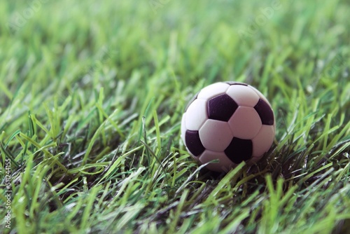 Close up image of soccer ball on soccer field. Selective focus. Copy space.