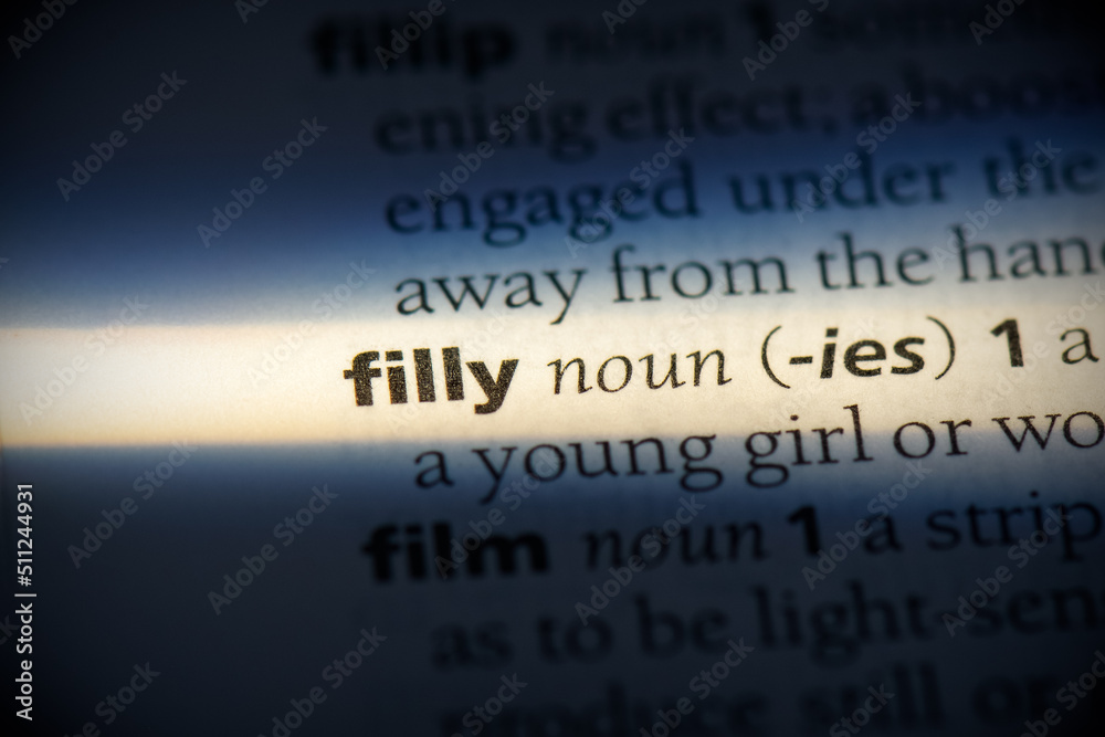 filly