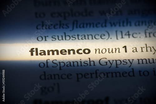 flamenco photo