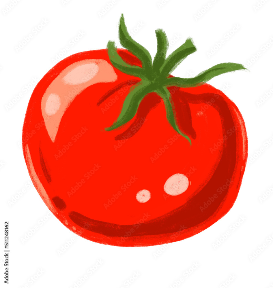 Red juicy fresh tomatoes hand painting illustration Red juicy fresh tomatoes hand painting illustration