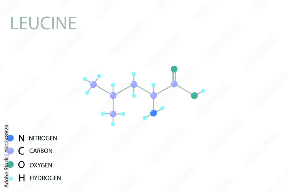 Leucine molecular skeletal 3D chemical formula. Leucine molecular skeletal 3D chemical formula.