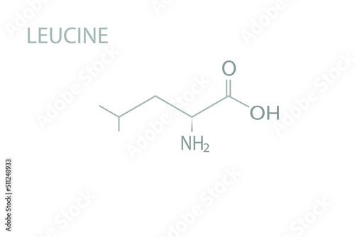 Leucine molecular skeletal chemical formula.	