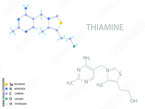 Thiamine molecular skeletal 3D chemical formula.	