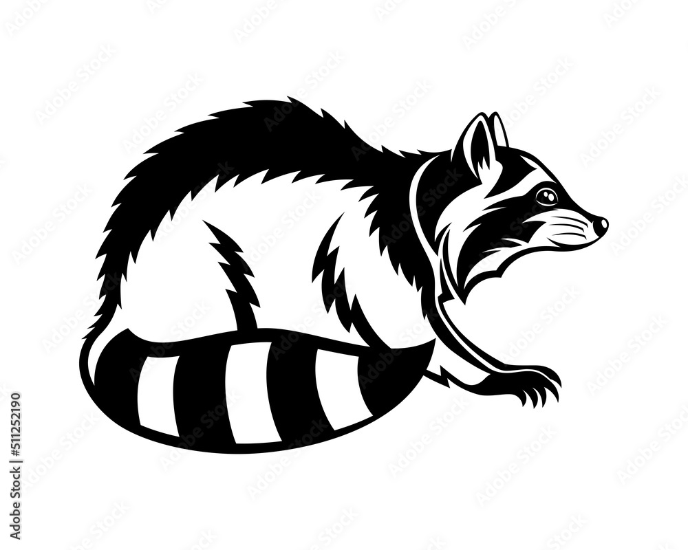 Animal raccoon icon isolated on white background. Animal raccoon icon isolated on white background.