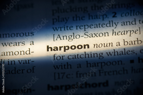 harpoon photo