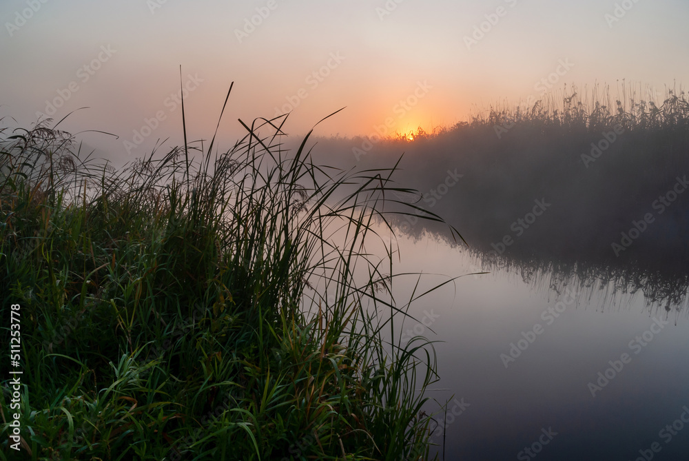 Wschód słońca nad Narwią, Podlasie, Polska