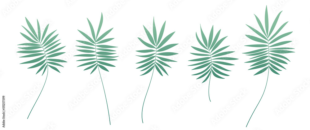 Set of green leaves green illustration