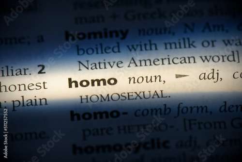 homo