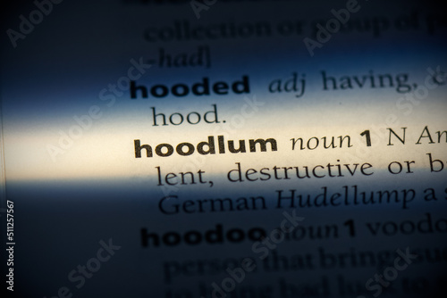 hoodlum