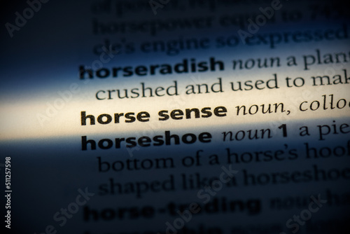 horse sense