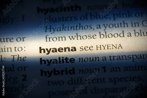 hyaena