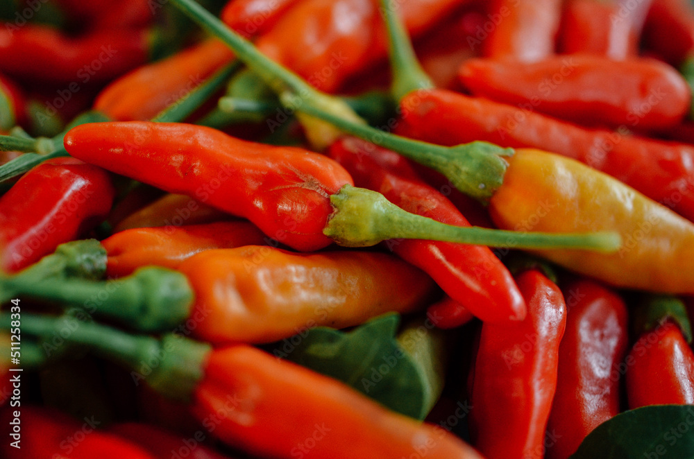 hot and spicy thai pepper