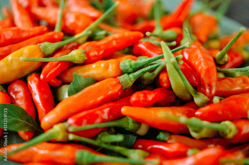 hot and spicy thai pepper