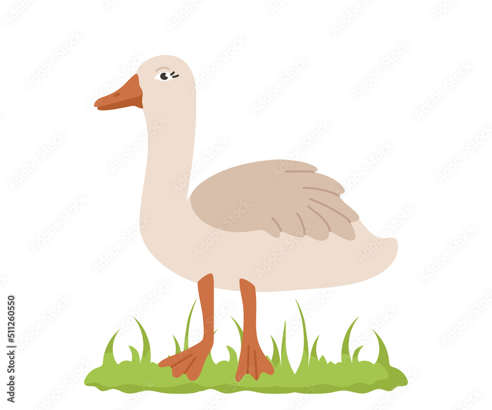 Naklejka premium Cute goose in cartoon style. Vector character of a bird from a farm isolated on a white background.