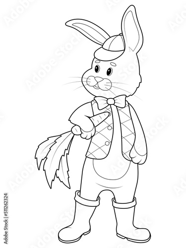 Isolated character, pet rabbit in clothes with a carrot in its paw. Children coloring book, vector.