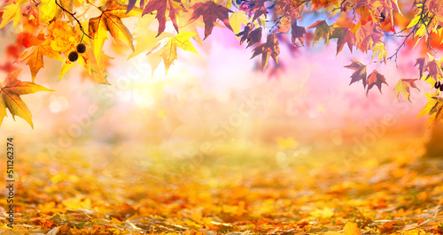 orange fall leaves in park, golden autumn natural background