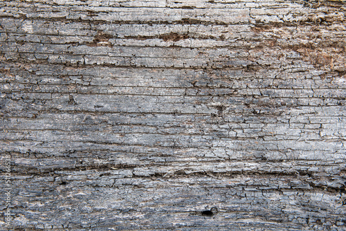 old weathered wood texture Background