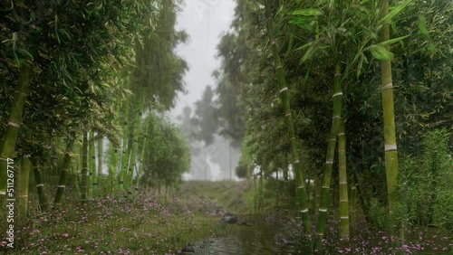 Landscape of bamboo forest with a lot of rain. A small creek puts your mind at ease.