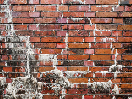Vászonkép Brick wall with lime efflorescence