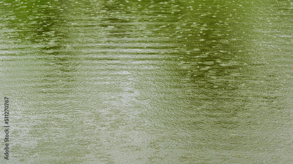 Water ripples on a pond surface during heavy rain. Water ripples on a pond surface during heavy rain.